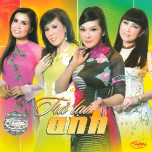 1964. TNCD522 - Tra Lai Anh 2013 (nhieu Ca Si)