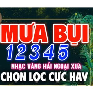 2962. Mua Bui 1 2 3 4 5 LK BOLERO nhac vang xua hay nhat