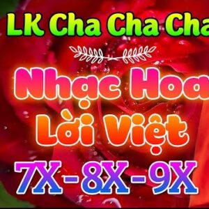 2977. LK Cha Cha Cha HOA TAU Nhac Hoa Khong Loi Am Thanh Noi Stereo