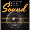 2978. ( 4 CD ) Audiophile Test Collection -Vol 4 Tuyet Pham Trong Nhung Kiet Tac