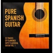 BỘ 4 CD HÒA TẤU TÂY BAN NHA GUITAR ( 2202 - 2205 )