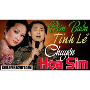 110.LIEN KHUC DEM BUON TINH LE - CAN NHA MAU TIM - ASIA