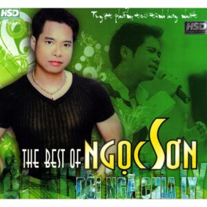 166.THE BEST OF NGOC SON