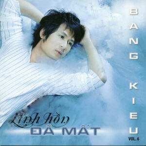 1861. TNCD417 - Linh Hon Da Mat (Bang Kieu)