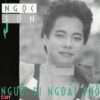 2077. Ngoc Son - Nua dem ngoai pho 1