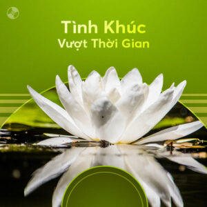 2081. NHUNG TINH KHUC BOLERO VUOT THOI GIAN-VOL 3