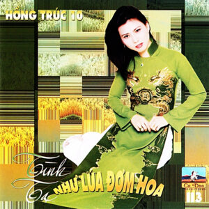 2160. CDCD113 - Hong Truc 10 - Tinh Ta Nhu Lua Dom Hoa