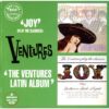 2213. The Ventures - Joy