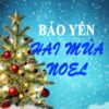 2348. Bao Yen - Hai Mua Noel
