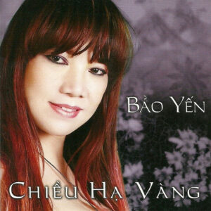 2350. Bao Yen - Nhac Go Cong Chieu Ha Vang