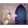 246.MERRY CHRISTMAS - ASIA 162