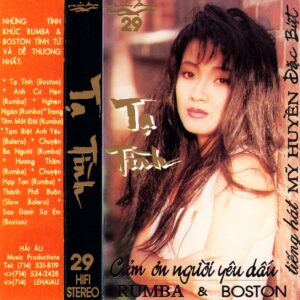 316. HAI AU CD 029 - MY HUYEN - DAC BIET - TA TINH
