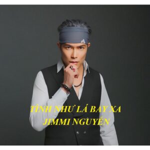 33.TINH NHU LA BAY XA - JIMMI NGUYEN