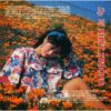 443 LANG VAN CD - 058 DA VU NHAT TRUONG