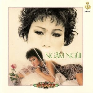 456 LANG VAN CD - 072 NGAM NGUI
