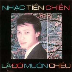 496 LANG VAN CD - 114 LA DO MUON CHIEU (TUAN NGOC)