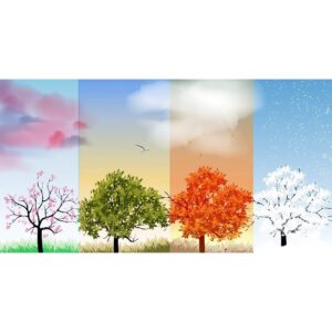 744 HA - VARIOUS ARTISTS - HOA TAU 4 MUA XUAN HA THU DONG