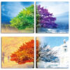 862 THU - VARIOUS ARTISTS - HOA TAU 4 MUA XUAN HA THU DONG