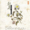 884 VA - RELAX MUSIC - CHRYSANTHEMUM