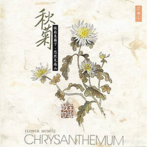 884 VA - RELAX MUSIC - CHRYSANTHEMUM