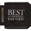 896 VARIOUS ARTISTS - BEST AUDIOPHILE MALE VOICES (2015)