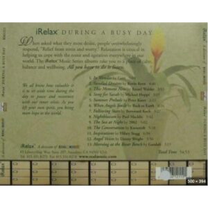 900 VARIOUS ARTISTS - IRELAX DURING A BUSY DAY (2006)