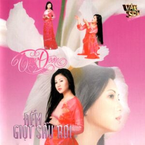 939 VSCD-DEM GIOT SAU ROI - TAM DOAN