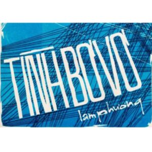 217.TINH BO VO - NHIEU CA SI