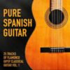 2202B. The Spanish Guitar - Pure Spanish Guitar, Vol. 1 (25 Tracks of Flamenco Gipsy Classical Guitar)