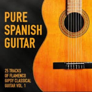 2202B. The Spanish Guitar - Pure Spanish Guitar, Vol. 1 (25 Tracks of Flamenco Gipsy Classical Guitar)