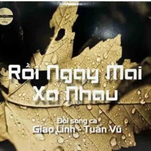 2958 .Album CD Roi Ngay Mai Xa Nhau
