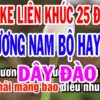 2972. Lien Khuc 24 Dieu Ly Cai Luong Nam Bo Hay Nhat Dieu Ly Yeu Thich