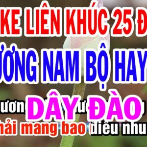 2972. Lien Khuc 24 Dieu Ly Cai Luong Nam Bo Hay Nhat Dieu Ly Yeu Thich
