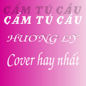 3056. ( 2 CD ) Lk Huong Ly Cover Hay Nhat Album Huong Ly HOT TikTok Moi Nhat Tu Em Thuong Minh Cam Tu Cau