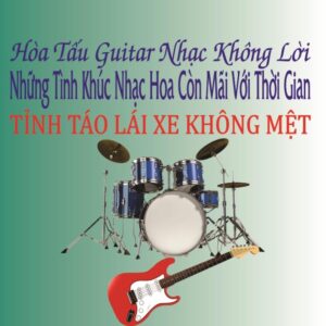 3068. ( Bo 2 CD ) Hoa Tau Guitar Nhac Khong Loi Nhung Tinh Khuc Nhac Hoa Con Mai Voi Thoi Gian - Tinh Ngu