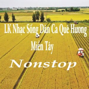 3087. LK Nhac Song Dan Ca Que Huong Mien Tay Chon Loc