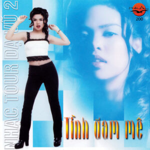 387 HAI AU CD 200 - TINH DAM ME - NHAC TOUR DA VU 2