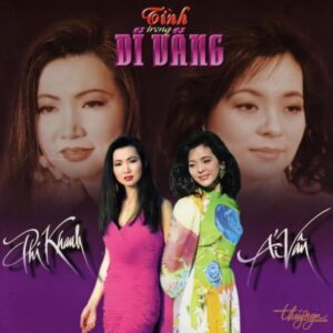 1531. TNCD061 - Tinh Trong Di Vang - Phi Khanh - Ai Van