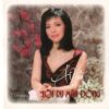 1551. TNCD095 - Loi Ru Mua Dong - Ai Van