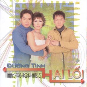 1667. TNCD220 - Duong Tinh Hai Loi (top Hit 3)