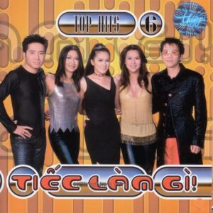 1685. TNCD238 - Tiec Lam Gi (top Hit 6)