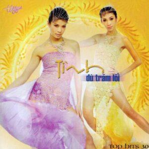 1834. TNCD390 - Tinh Du Tran Loi (top Hits 30)