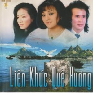 3219. My Huyen Huong Lan & Tuan Vu - Lien khuc que huong