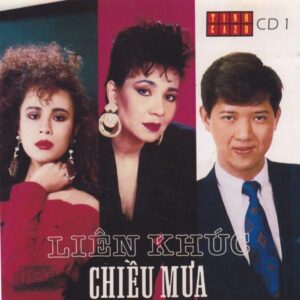 3603. Tinh ca 20 - So 1 - Lien khuc chieu mua - 1990
