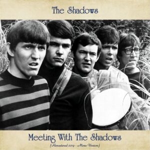 3729. The Shadows - Meeting With The Shadows