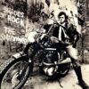3732. The Shadows - Shades of Rock