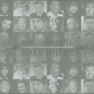 3766. Best Audiophile Male Voice - 2009