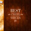 3771. Best Audiophile Voices Vol.4 - 2005