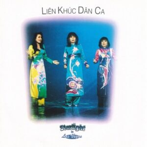 590. LANG VAN CD - 220 LIEN KHUC DAN CA (NHIEU CA SI)